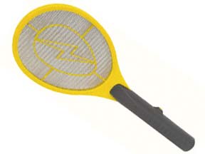 bug-swatter1.jpg